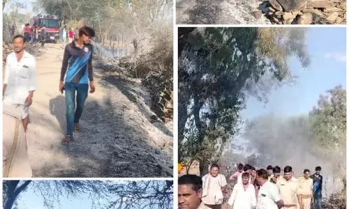 खारोलिया खेड़ा में 40 बीघा में फैली आग, कड़प, बाड़ व रोडिय़ां जलीं, मची अफरा-तफरी