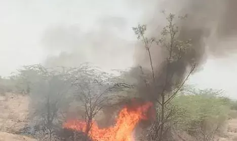 खेत की मेड़ पर लगी आग