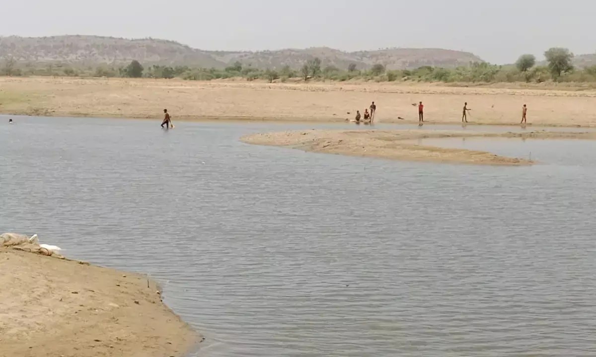 अवैध मत्स्य आखेट जारी, केमिकल डालकर निकाली जा रही मछली