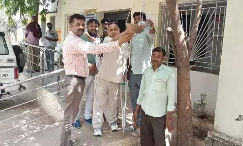 पक्षियों के लिए लगाए परिंडे, दाने की भी की व्यवस्था