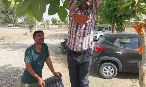 हरिपुरा पुलिस चौकी में पंछियो के लिए लगाये परिंडे