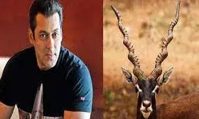 सलमान खान को काला हिरण मामले में माफ करने को तैयार बिश्नोई समाज, माननी होगी ये शर्त