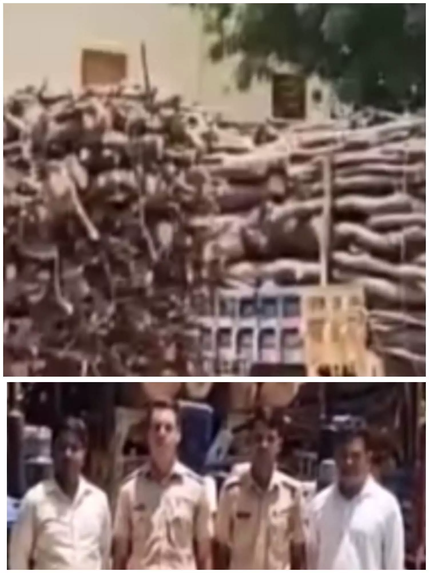 गीली लकडिय़ां परिवहन करते 4 ट्रैक्टर-ट्रॉली जब्त, चालक गिरफ्तार, वन विभाग ने की कार्रवाई गीली लकडिय़ां परिवहन करते 4 ट्रैक्टर-ट्रॉली जब्त, चालक गिरफ्तार, वन विभाग ने की कार्रवाई