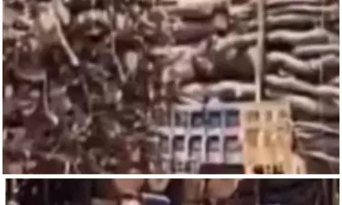 गीली लकडिय़ां परिवहन करते 4 ट्रैक्टर-ट्रॉली जब्त, चालक गिरफ्तार, वन विभाग ने की कार्रवाई गीली लकडिय़ां परिवहन करते 4 ट्रैक्टर-ट्रॉली जब्त, चालक गिरफ्तार, वन विभाग ने की कार्रवाई