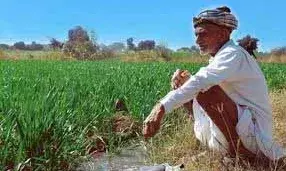 राजस्थान के किसानों को मिलेगा 1.35 लाख का अनुदान, करना होगा ऑनलाइन आवेदन राजस्थान के किसानों को मिलेगा 1.35 लाख का अनुदान, करना होगा ऑनलाइन आवेदन
