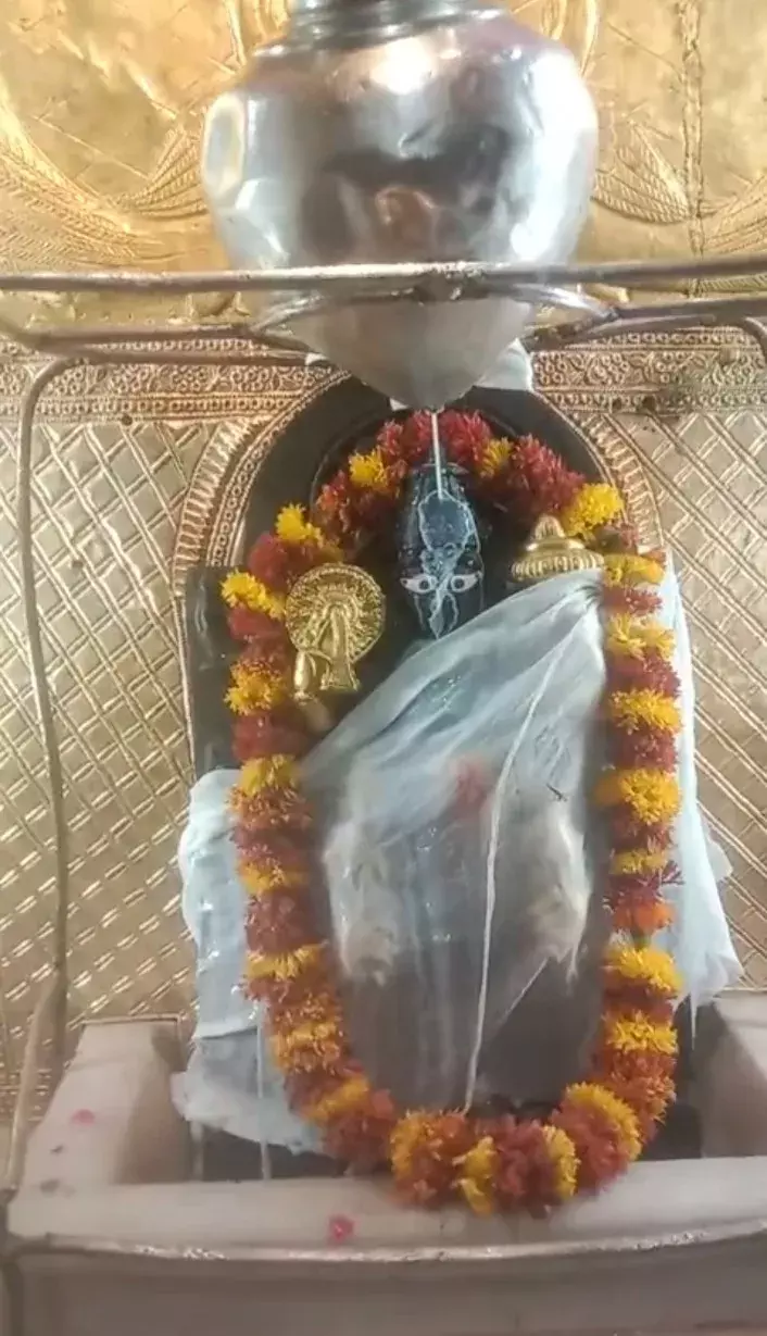 जय श्री कोटड़ी श्याम दरबार आज एकादशी अभिषेक दर्शन