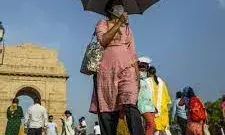 आसमान से बरस रही आग : सीजन का सबसे गर्म दिन रहा  आज ,  रेड अलर्ट