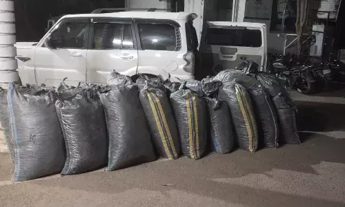 स्कॉर्पियों से 494 किलो डोडा चूरा जब्त