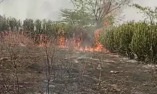 शॉर्ट सर्किट से बालेसरिया में फिर लगी आग