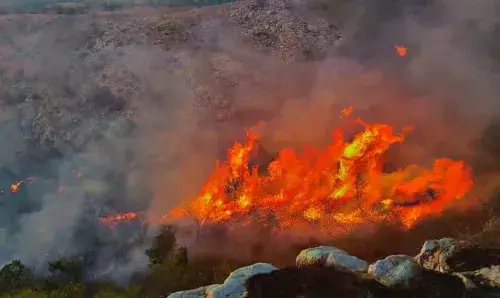 बिजासन माता डूंगरी एवं किले के परकोटे के बीच आग