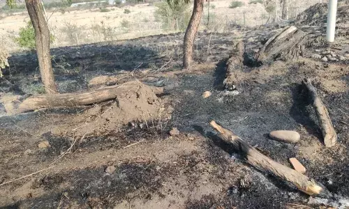 खेत में लगी आग,लाखों की फसल जलकर हुई राख