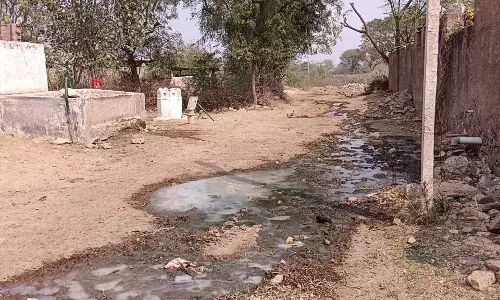 गंदगी से ग्रामीण परेशान, सरपंच पर पक्षपात का आरोप