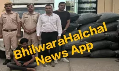 नाकाबंदी से भागी पिकअप, पीछे लगी पुलिस तो भागा तस्कर, चालक गिरफ्तार 304 किलो डोडा-चूरा बरामद नाकाबंदी से भागी पिकअप, पीछे लगी पुलिस तो भागा तस्कर, चालक गिरफ्तार 304 किलो डोडा-चूरा बरामद