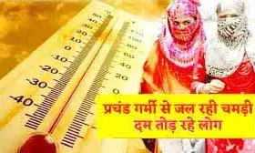 राजस्थान में भीषण गर्मी के बीच हाईकोर्ट का बड़ा आदेश, हीटवेव से हो रही मौतों पर मुआवजा दे भजनलाल सरकार