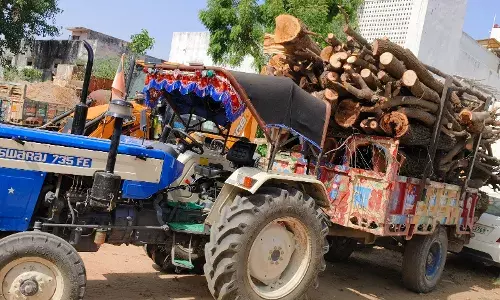 गीली लकडिया परिवहन करते  ट्रेक्टर ट्रॉली जब्त