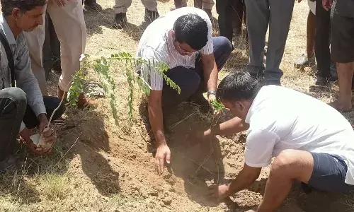 कलक्टर और एसपी ने पौधारोपण कर पर्यावरण संरक्षण का दिया संदेश