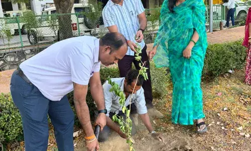 एडीएम, एसडीओ और तहसीलदार ने किया पौधरोपण
