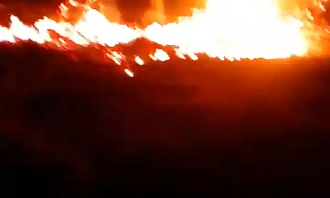 मांडल पुलिस चौकी के पीछे खेतों में लगी आग ,4 घंटे की मशक्कत के बाद पाया काबू