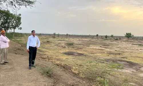 कोटड़ी विकास अधिकारी ने पंचायत बोरडा में किया चारागाह भूमि का सर्वे