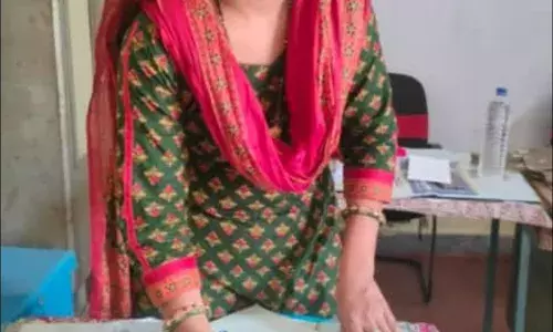 मीणा का एलडीसी से यूडीसी में हुआ प्रमोशन