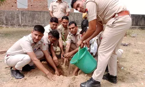 थानों में पुलिसकर्मियों ने सफाई, लगाए पौधे