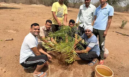 थानों में पुलिसकर्मियों ने सफाई, लगाए पौधे