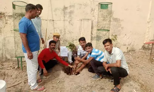 साफ सफाई और वृक्षारोपण के साथ मनाया पुलिस स्थापना दिवस साफ सफाई और वृक्षारोपण के साथ मनाया पुलिस स्थापना दिवस