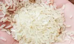 मंदसौर से इंदौर भेजे जा रहे साढ़े पांच क्विंटल पीडीएस के चावल जब्त, एक आरोपी गिरफ्तार