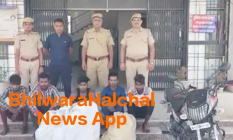 विद्युत ट्रांसफार्मर चोर गिरोह का खुलासा, पांच गिरफ्तार, दो बाइक व दो डीपी बरामद