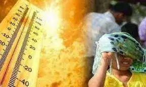 भीषण लू से दिल्ली में तीन लोगों की मौत भीषण लू से दिल्ली में तीन लोगों की मौत