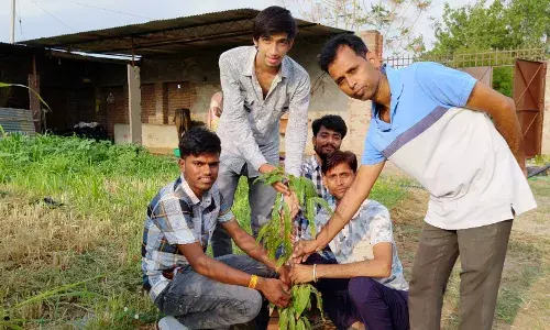 पौधारोपण कर दिया पर्यावरण संरक्षण का संदेश