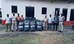 पुलिस की नाकाबंदी देख ट्रक छोड़कर भागा तस्कर, 40 लाख रुपये का डोडा जब्त