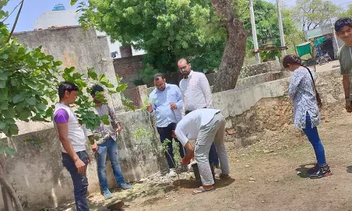 राष्ट्रीय चिकित्सा दिवस-हमीरगढ़ सीएचसी पर वृक्षारोपण राष्ट्रीय चिकित्सा दिवस-हमीरगढ़ सीएचसी पर वृक्षारोपण
