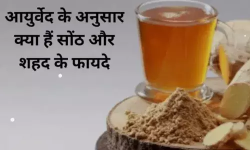 शहद और सौंठ का करेगे  सेवन तो इम्यूनिटी होगी मजबूत