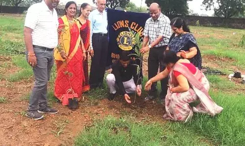 सिंदरी के बालाजी स्थित गौशाला में 50 वृक्षारोपण कर गायो को खिलाया हरा चारा ....