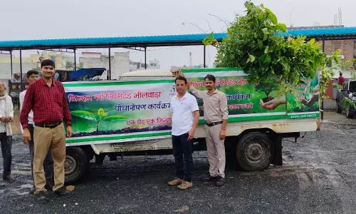 जिन्दल साॅ द्वारा किया गया वृक्षारोपण