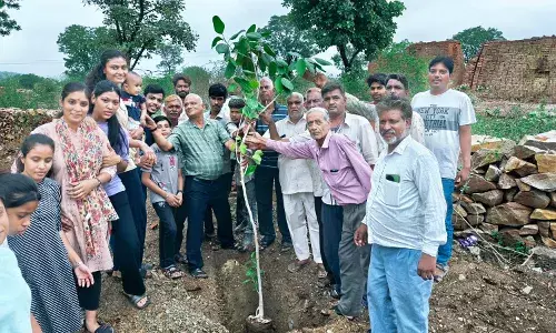हमीरगढ़ में एक पेड़ माँ के नाम की हुई शुरुआत