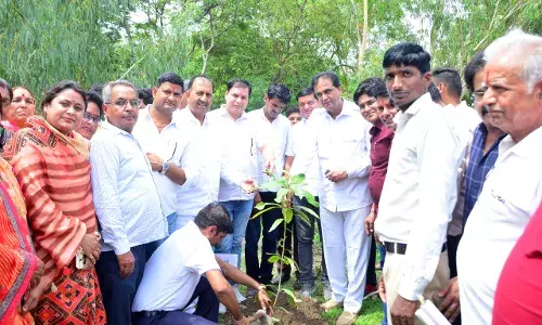 ब्लॉक स्तरीय पोधारोपण कार्यक्रम का 21 सौ पौधे लगाकर कृपलानी ने किया शुभारम्भ ब्लॉक स्तरीय पोधारोपण कार्यक्रम का 21 सौ पौधे लगाकर कृपलानी ने किया शुभारम्भ