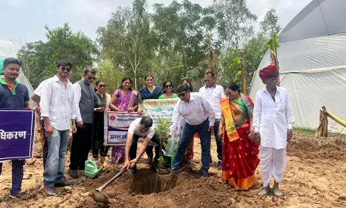 महावीर इंटरनेशनल के 50वे स्थापना दिवस पर मीरा केन्द्र ने किया वृक्षारोपण महावीर इंटरनेशनल के 50वे स्थापना दिवस पर मीरा केन्द्र ने किया वृक्षारोपण