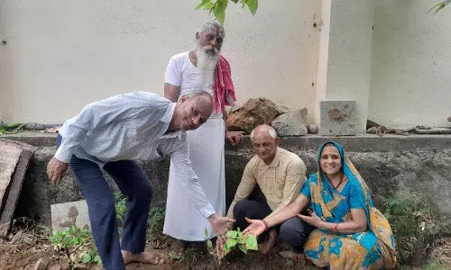 हर मनुष्य को जीवन में एक पेड़ लगाना चाहिए हर मनुष्य को जीवन में एक पेड़ लगाना चाहिए