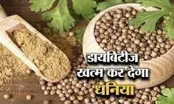 धनिया बीज खाएंगे तो सुधरेगा पाचन ;  होगी कंट्रोल डायबिटीज