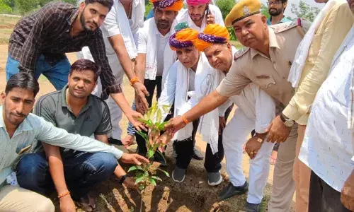 3100 पौधा लगाने का लक्ष्य