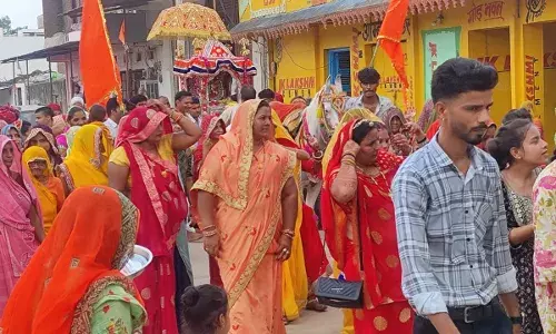 सिंगोली चारभुजा में तुलसी विवाह आयोजित