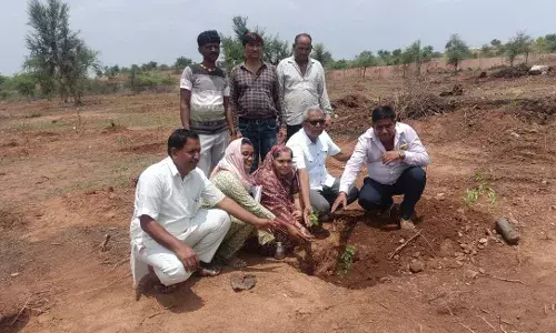 बडलियास में एक पेड़ मां के नाम वृक्षारोपण कार्यक्रम आयोजित