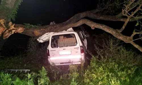 कार पेड़ से टकराई , 5 की मौत, 6 घायल