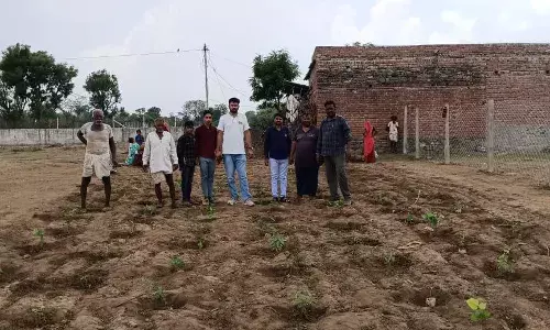 उपरेडा पीएचसी में क‍िया पौधारोपण