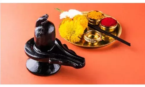 ये फूल, सावन के महीने में अर्पित कर भगवान शिव ये फूल, सावन के महीने में अर्पित कर भगवान शिव