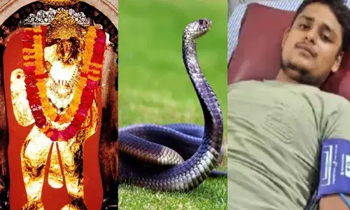 विकास दुबे के पीछे पड़ा खतरनाक सांप, 7 बार काट चुका और अब राजस्थान से आई होश उड़ा देने वाली खबर विकास दुबे के पीछे पड़ा खतरनाक सांप, 7 बार काट चुका और अब राजस्थान से आई होश उड़ा देने वाली खबर