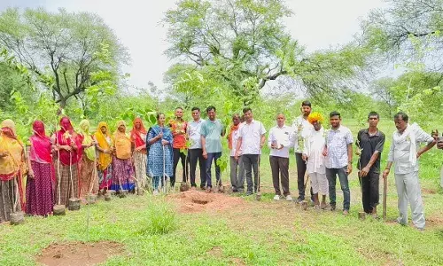 एक पेड़ मां के नाम अभियान में लगाया पौधा