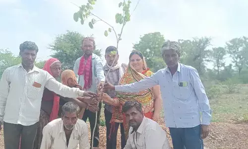 देवशयनी एकादशी पर किया पौधरोपण देवशयनी एकादशी पर किया पौधरोपण